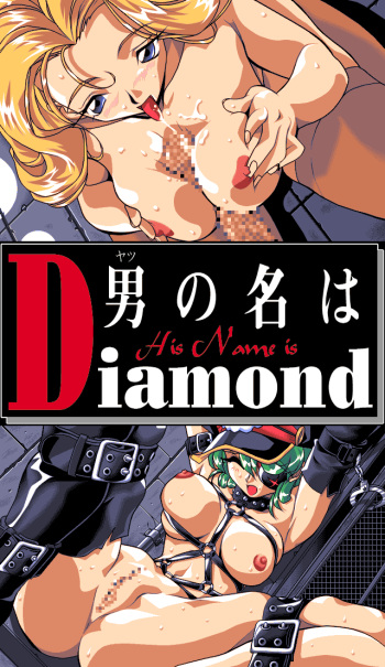 His Name is Diamond cover