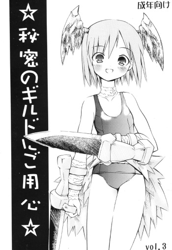 Himitsu no Guild ni Goyoujin vol. 3 cover