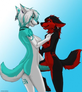 My Furry Porn Collection cover