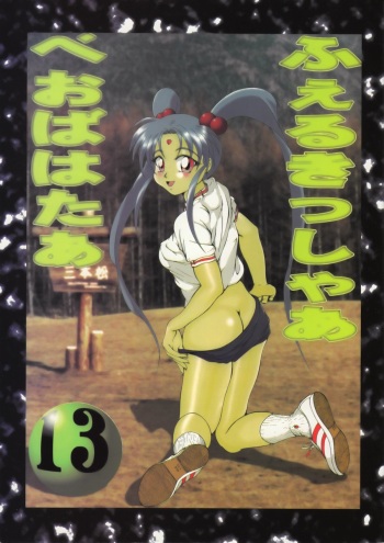 Volkischer Beobachter 13 cover