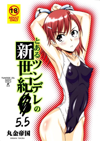 Tsundere Shinseiki 5.5 cover