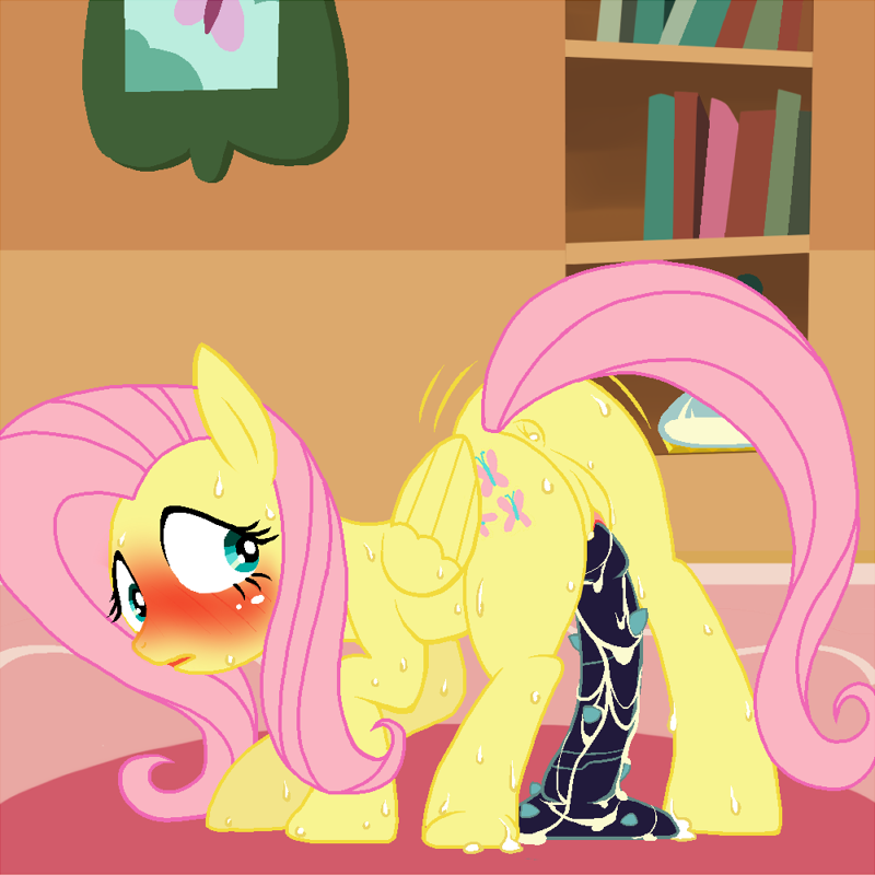 fluttershy  gallery page 4 full