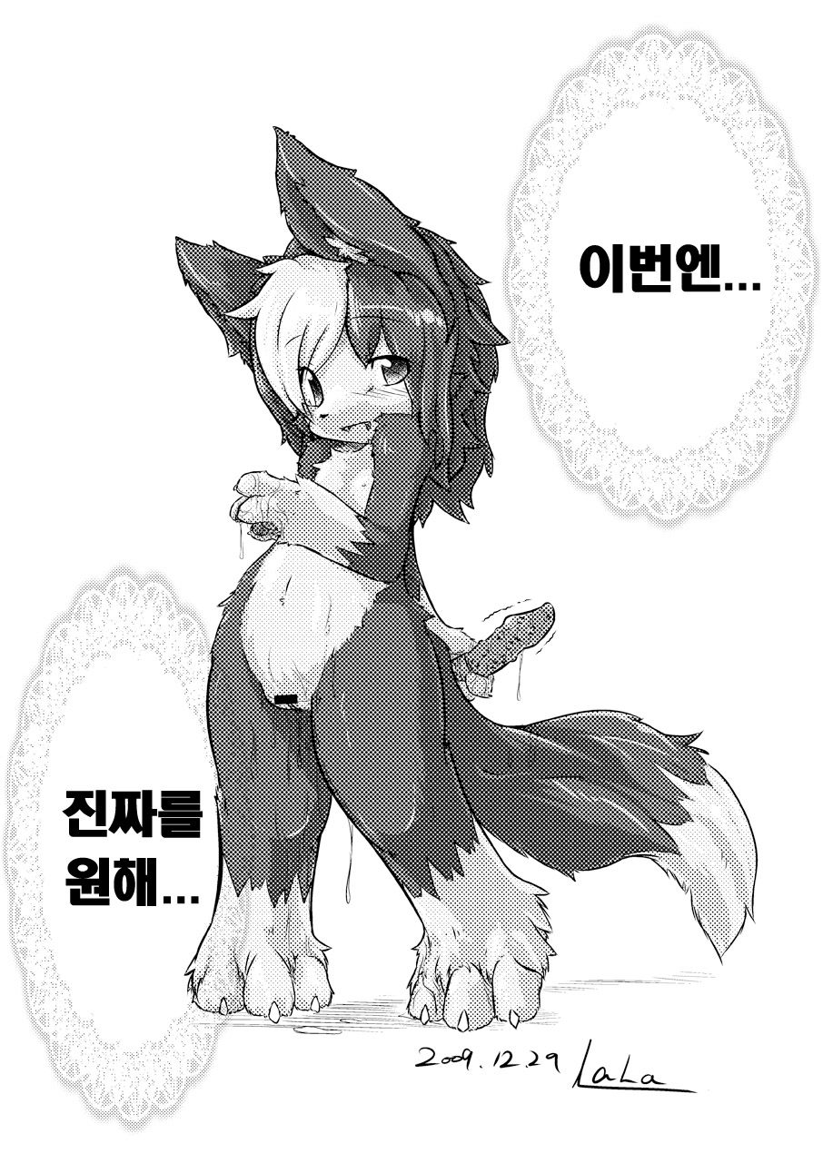 Border Collie Youjo Hokan Keikaku Vol. 2 page 3 full