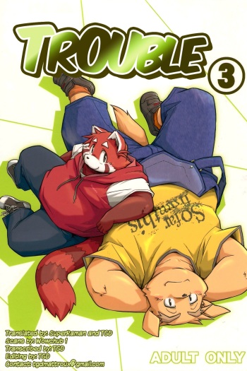 Trouble 3 cover