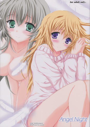 Angel Night cover