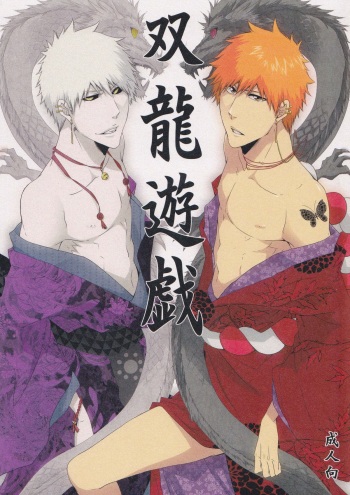 Souryuu Yuugi | Play of the Twin Dragons cover