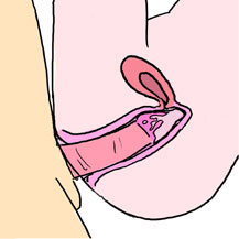 Essentials for a Sex Life page 7 full