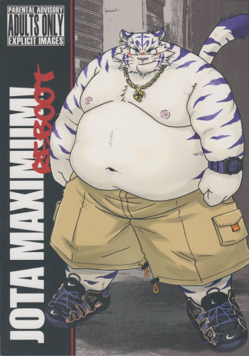 Jota Maximum Reboot cover