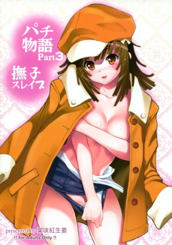 Pachimonogatari Part 3: Nadeko Slave cover