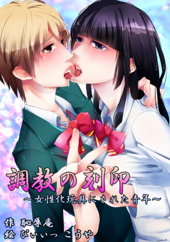 Choukyou no Kokuin ~Joseika Omocha ni Sareta Seinen~ cover