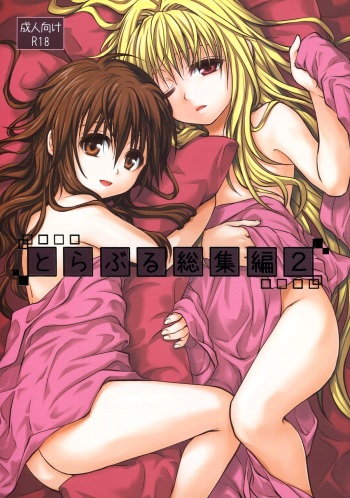 To LOVE-Ru Soushuuhen 2 cover