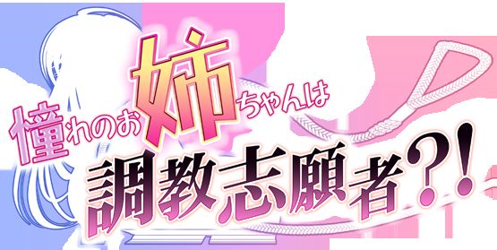 Akogare no Onee-chan wa Choukyou Shigansha?! page 2 full