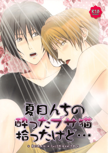 Natsumenchi no Yotta Busaneko Hirotta kedo... cover
