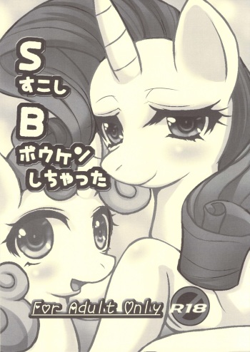 S Sukoshi B Bouken Shichatta cover