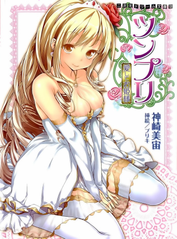 Tsunpri Aisite Ohimesama cover