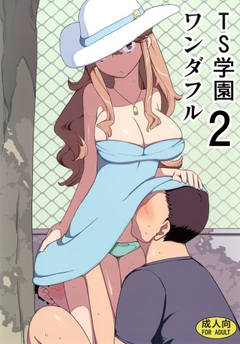 TS Gakuen Wonderful 2 cover