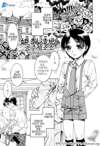 Princess Factory cover