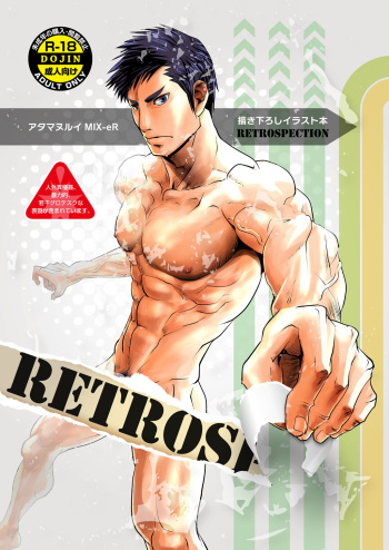 Retroapection cover