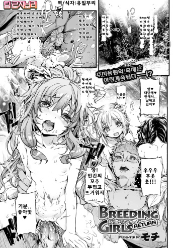 Breeding Girls Return cover
