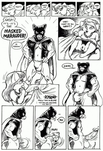 The Masked Marauder cover