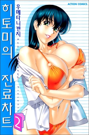 Hitomi no Karte 2 cover
