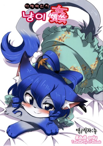 Neko kan cover
