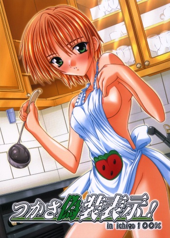 Tsukasa Gisou Hyouji! cover