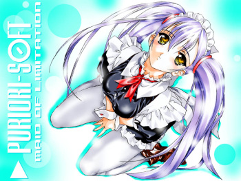 Maid of Limitation cover