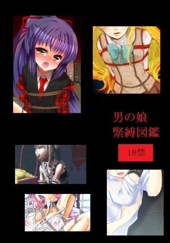Otokonoko Kinbaku Zukan cover
