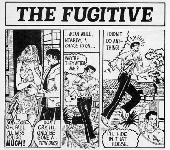 The Fugitive cover