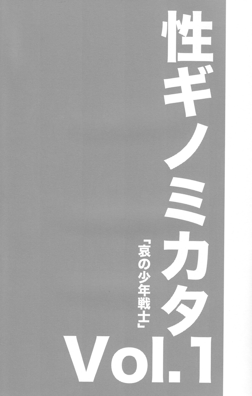 Seigi no Mikata Vol.1 page 3 full