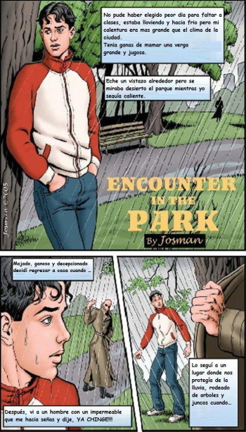 Encuentro en el parque cover