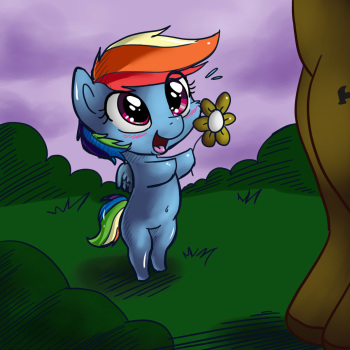 Dashie's Cubby Day cover