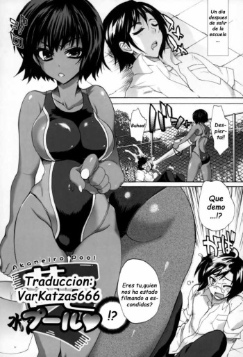 Akaneiro Pool cover