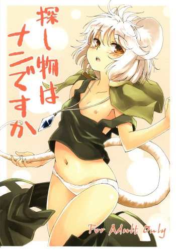 Sagashimono wa Nan Desu ka | What Is It That You Are Looking For cover