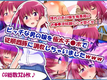 Bitch na Otokonoko wo Gokubuto Chinpo de Juujun Mesubuta ni Choukyou Shichaimashita www cover