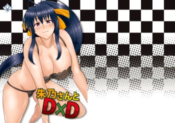 Akeno-san to DxD cover