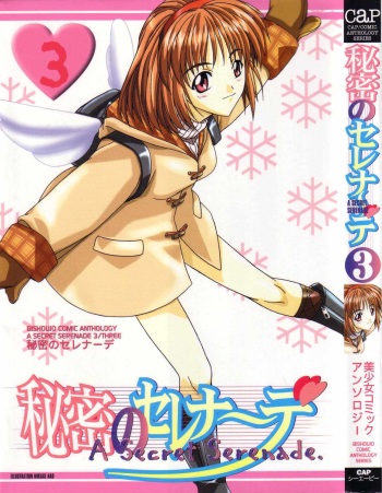 Himitsu no Serenade 3 cover