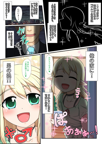 Moshimo Otokonoko Elf ga Wagaya ni Kitara cover