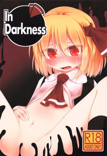 In Darkness cover