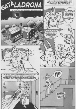 Cat Burglar | Gata Ladrona