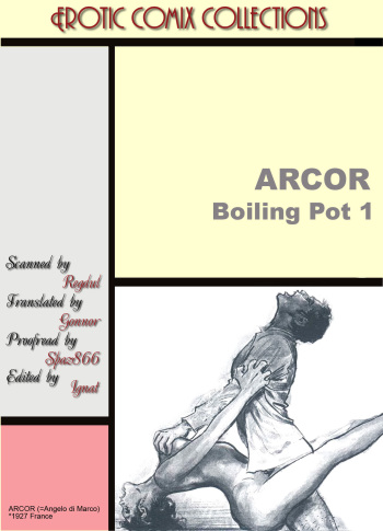 Boiling Pot #1 cover