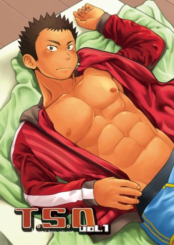T.S.D vol. 1 cover