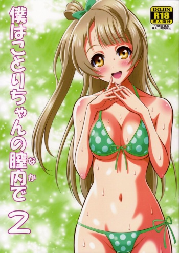 Boku wa Kotori-chan no Naka de 2 cover