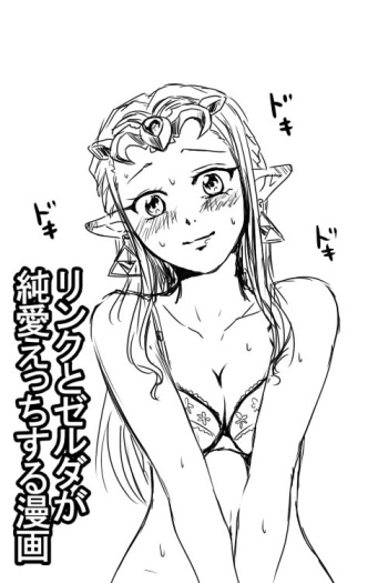 Link to Zelda ga Jun Ai Ecchi suru Manga cover