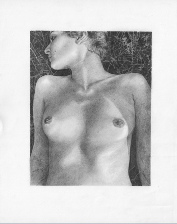 Erotic Art Collector 0203 GUILLERMO DEL LUCA cover