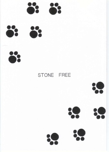 Stone Free cover