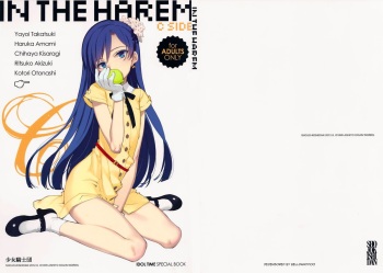 IN THE HAREM C SIDE cover