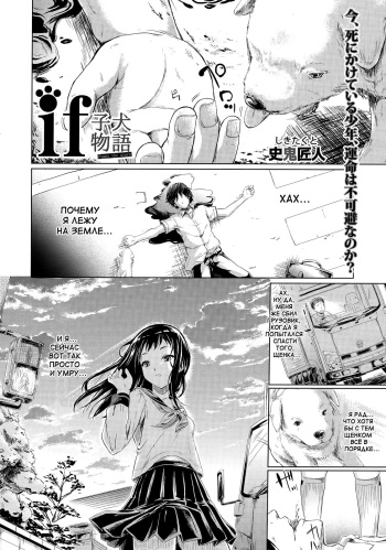 IF  | IF cover