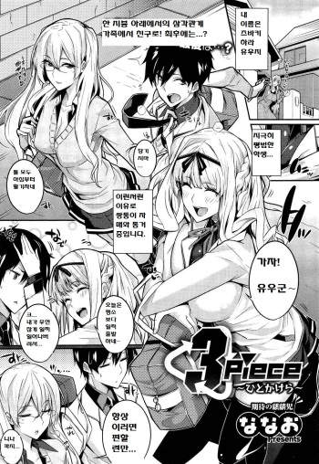3 Piece cover